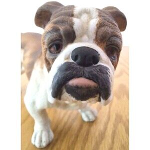 Realistic Porcelain English Bulldog By Sadek Andrea Dog Figurine #7733
